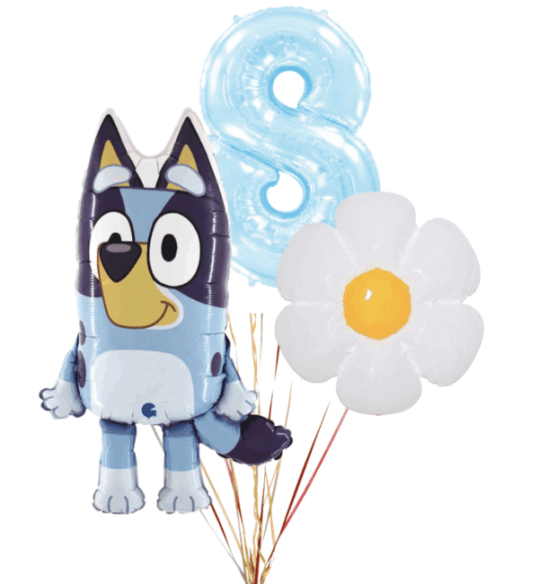 Medium Party Bundle Decoration