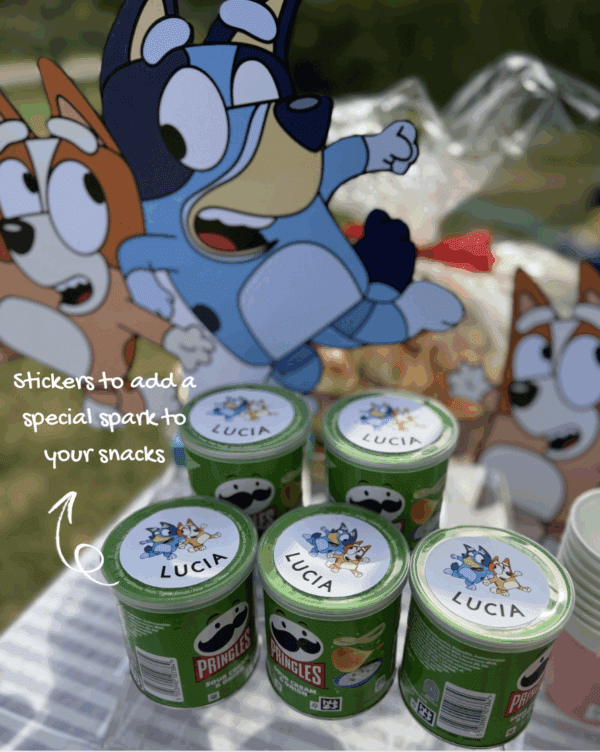 Large (L) Party Bundle Decoration - Image 7